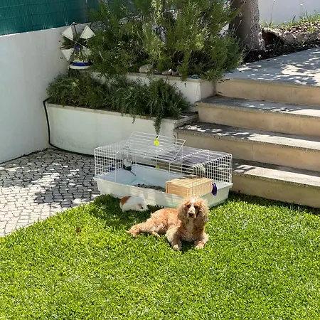 Refugio Toque Da Luz Homestay szállás *